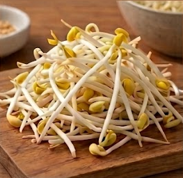 콩나물